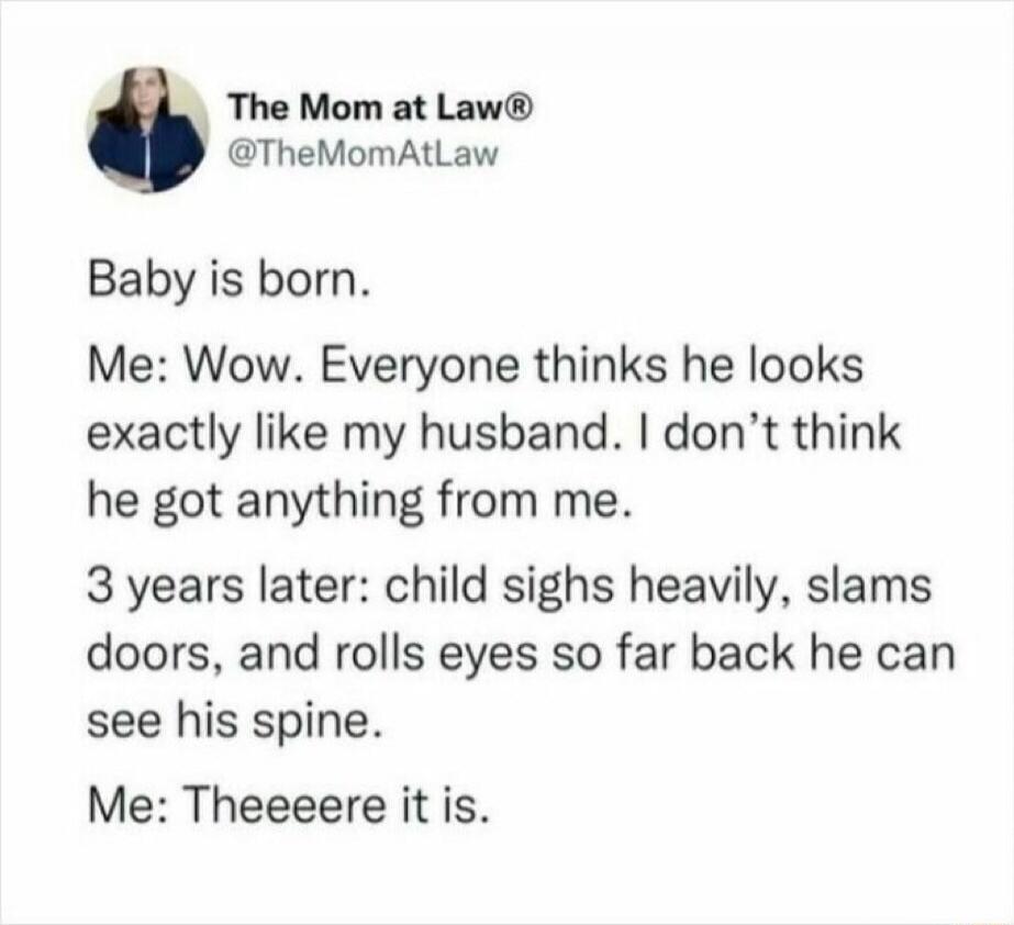 The Mom at Law® @TheMomAtLaw Baby is born. Me: Wow. Everyone thinks he looks exactly like my husband. I don't think he got anything from me. 3 years later: child sighs heavily, slams doors, and rolls eyes so far back he can see his spine. Me: Theeeere it is.