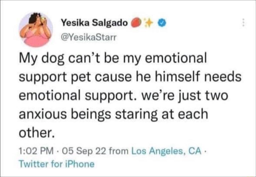 Yesika Salgado YesikaStarr My dog cant be my emotional support pet cause he himself needs emotional support were just two anxious beings staring at each other 102 PM 05 Sep 22 from Los Angeles CA Twitter for iPhone