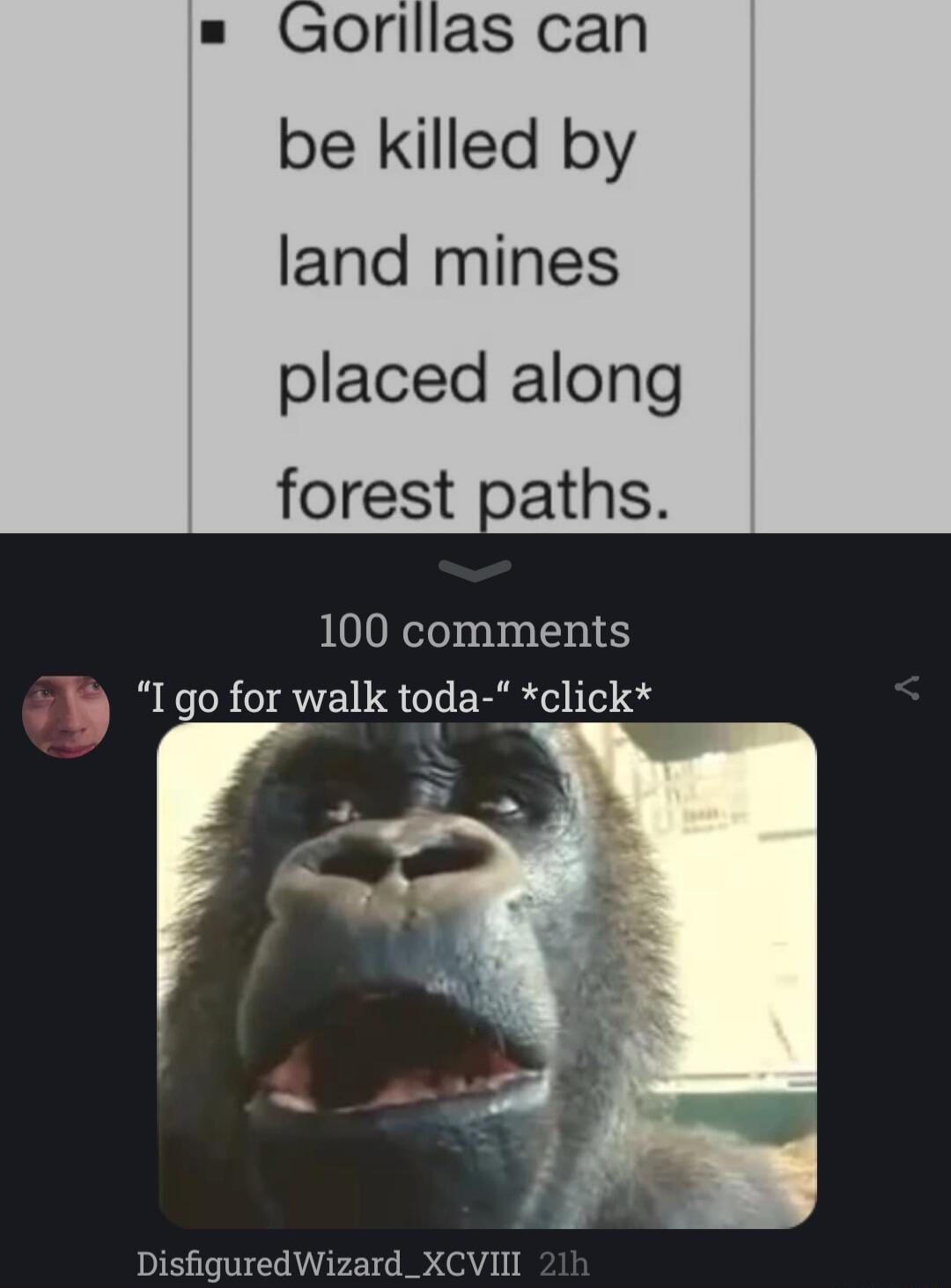 Gorillas can be killed by land mines placed along forest paths 100 comments 9 Igo for walk toda click