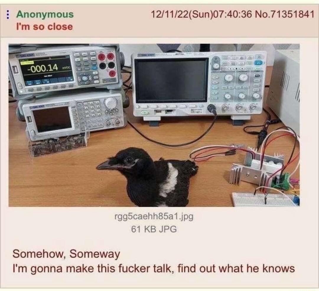 Anonymous 121122Sun074036 No71351841 Im so close Somehow Someway Im gonna make this fucker talk find out what he knows