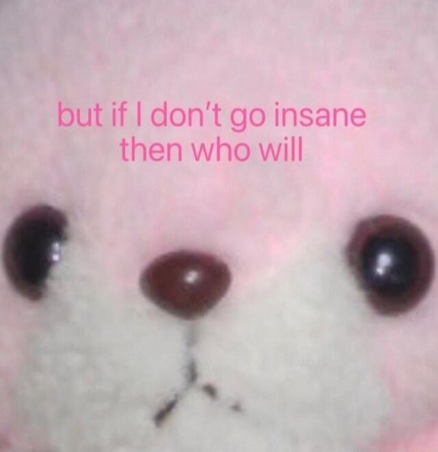 but if I don't go insane then who will