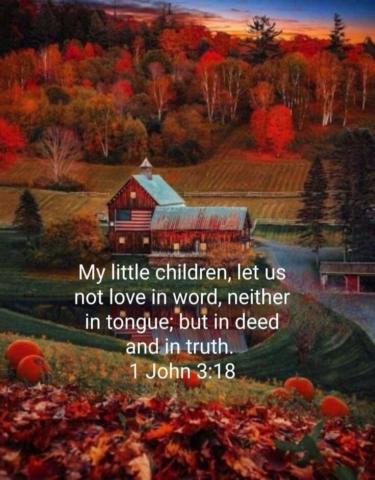 My little children, let us not love in word, neither in tongue; but in deed and in truth. 1 John 3:18