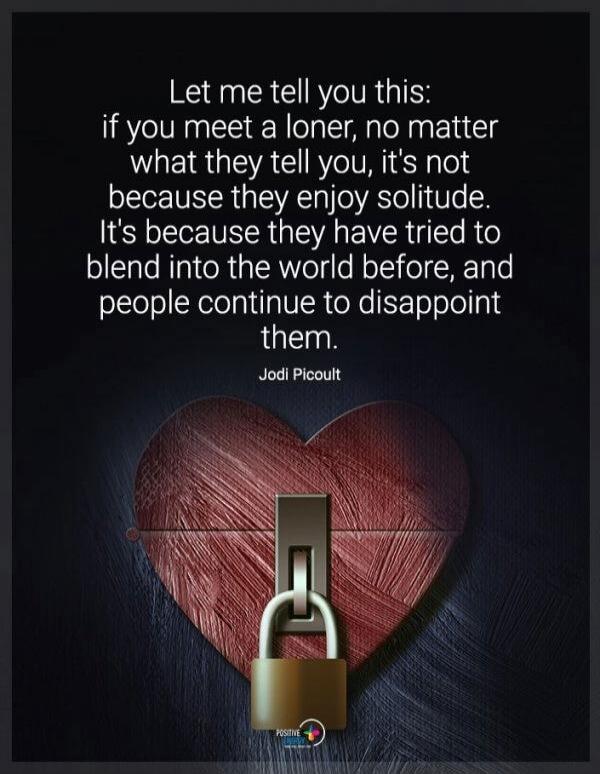 Let me tell you this: if you meet a loner, no matter what they tell you, it's not because they enjoy solitude. It's because they have tried to blend into the world before, and people continue to disappoint them. Jodi Picoult