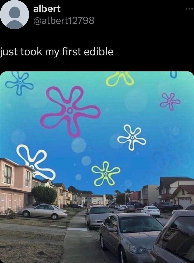 albert EILEl el just took my first edible