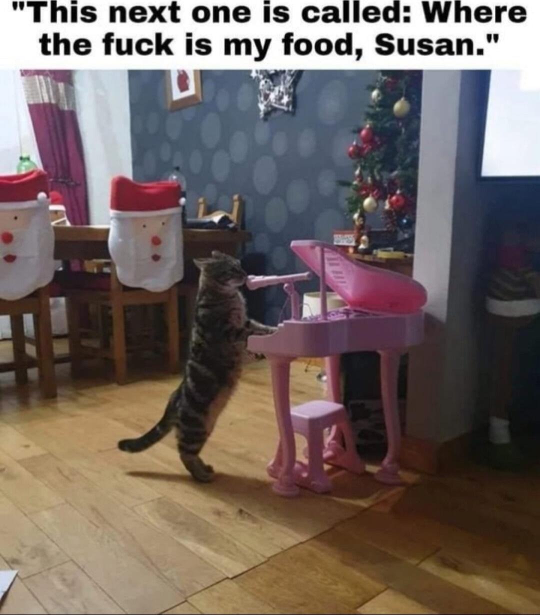 the fuck is my food Susan