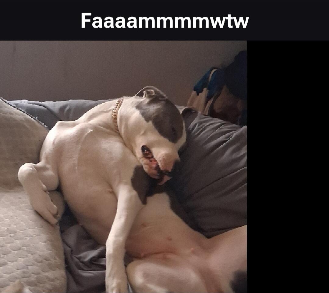 Faaaammmmwtw