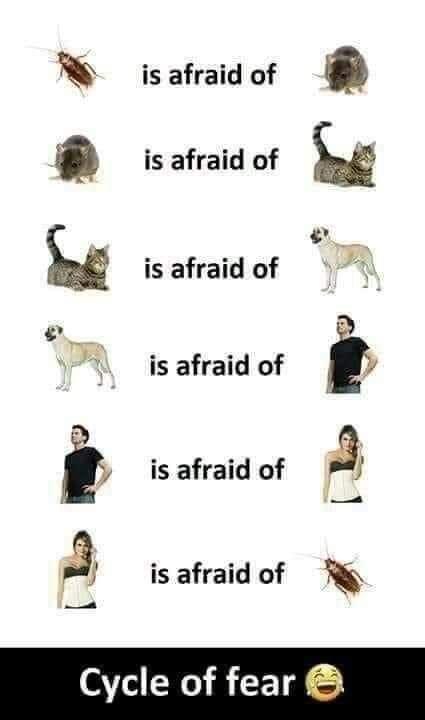 is afraid of is afraid of k isafraid of 1 e W is afraid of iy is afraid of Bf Q is afraid of R Yo 0o F