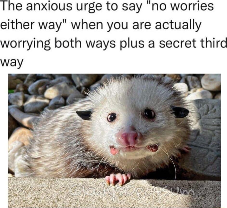 The anxious urge to say no worries either way when you are actually worrying both ways plus a secret third way