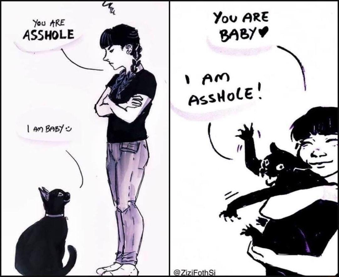 You ARE ASSHOLE