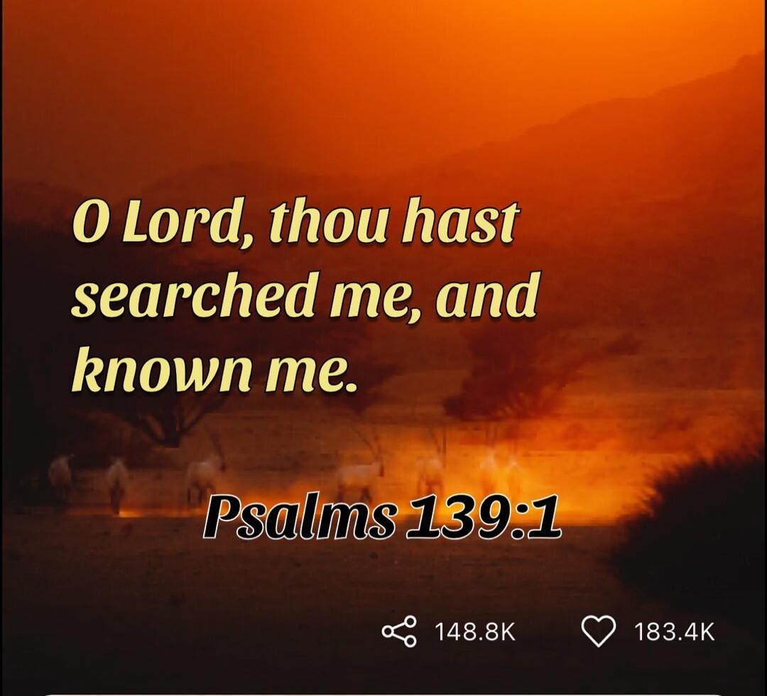 O Lord, thou hast searched me, and known me.
Psalms 139:1