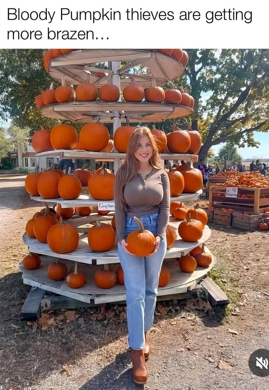 Bloody Pumpkin thieves are getting more brazen...