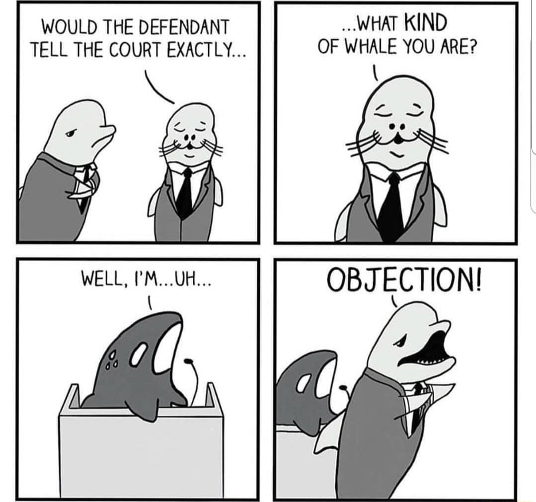 WOULD THE DEFENDANT WHAT KIND TELL THE COURT EXACTLY OF WHALE YOU ARE