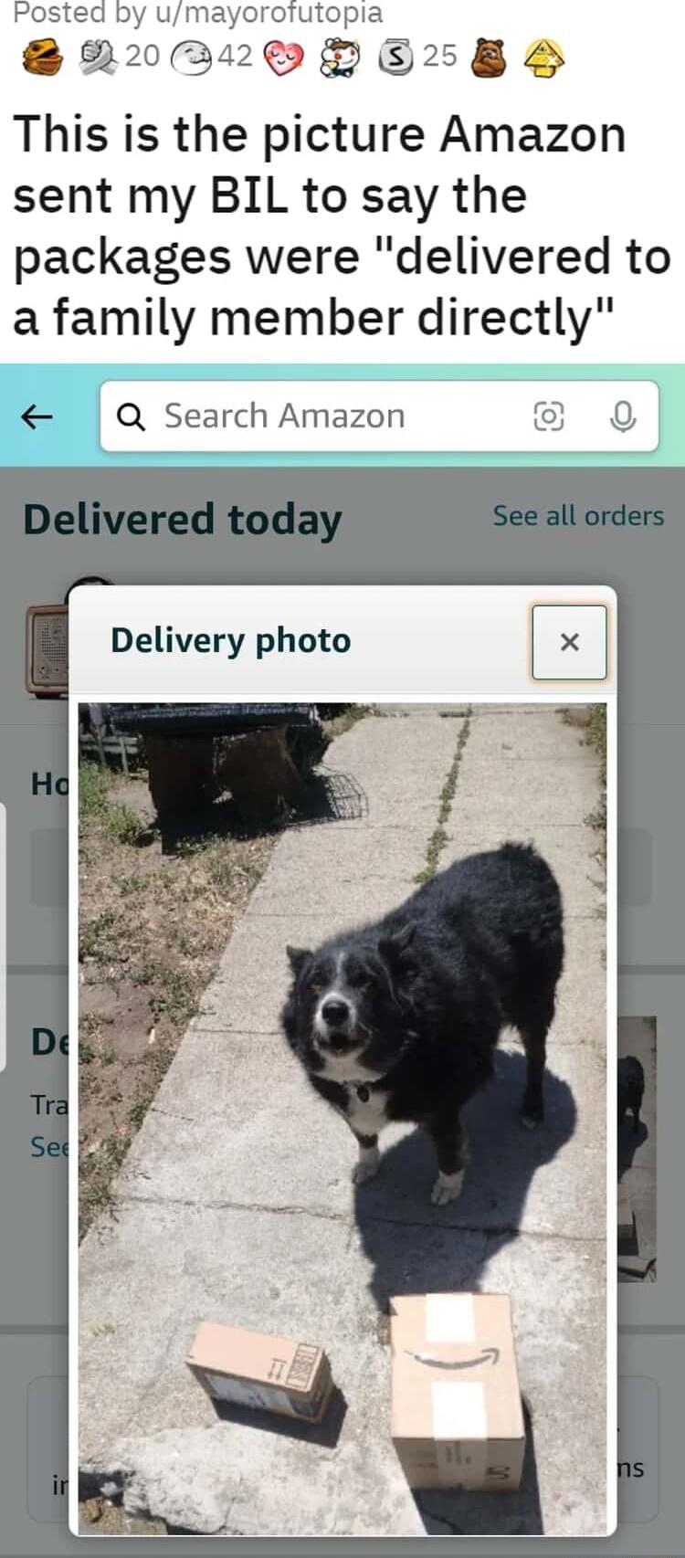 Posted by umayorotutopia 8R022QP 58 H This is the picture Amazon sent my BIL to say the packages were delivered to a family member directly Q Search Amazon S 9 Delivery photo