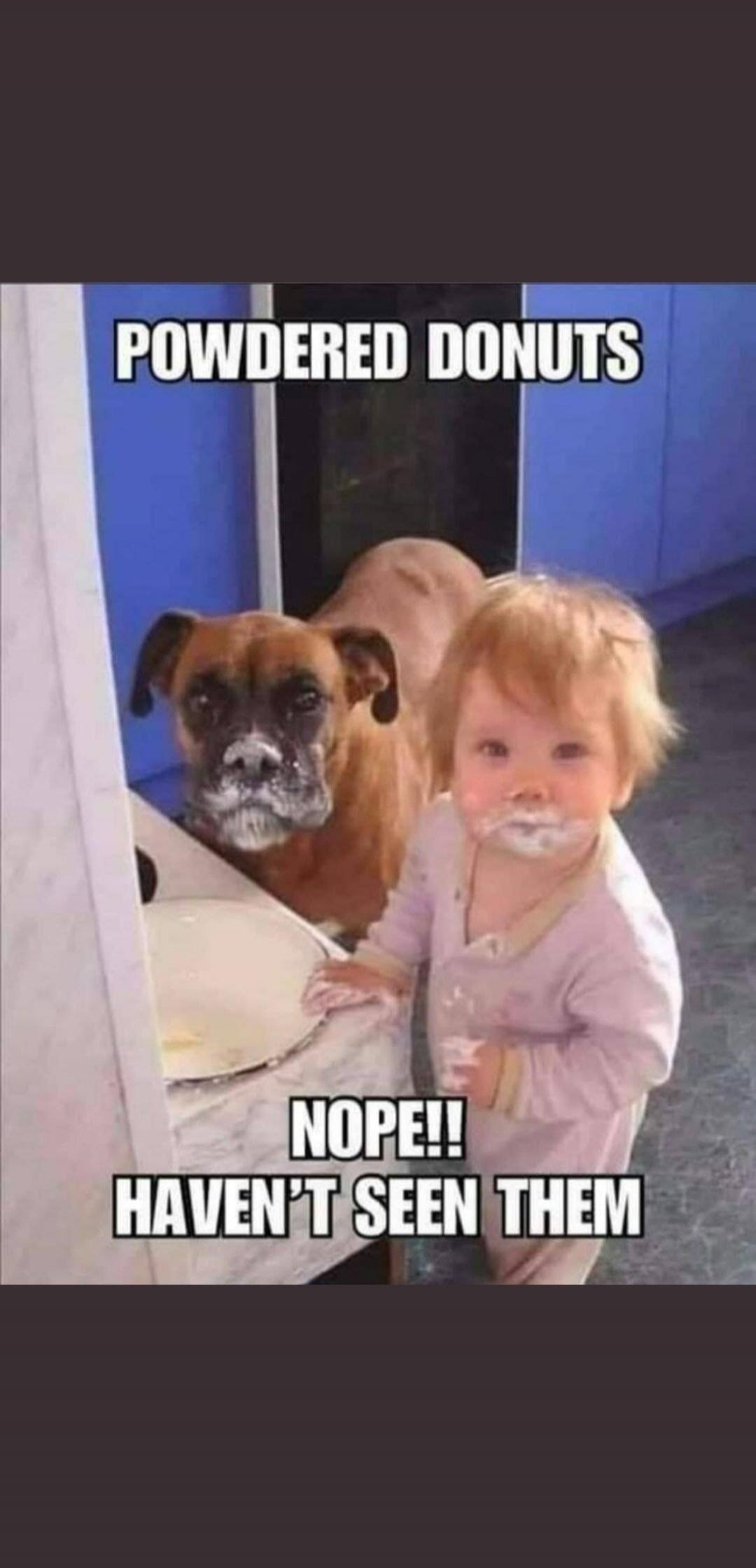 POWDERED DONUTS NOPE!! HAVEN'T SEEN THEM