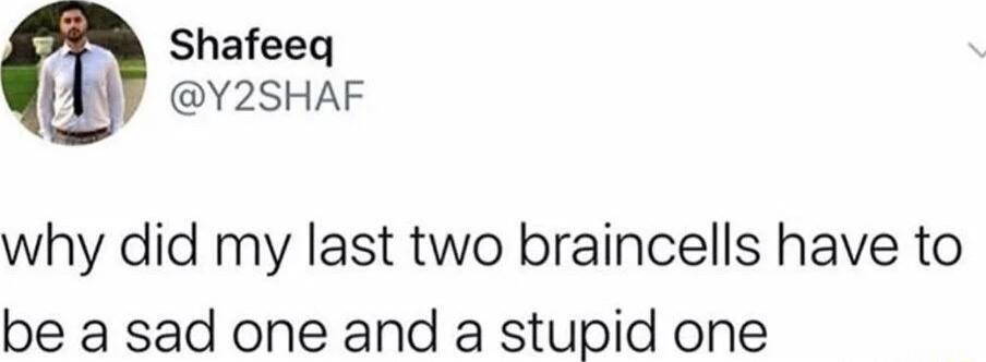 Shafeeq Y2SHAF why did my last two braincells have to be a sad one and a stupid one
