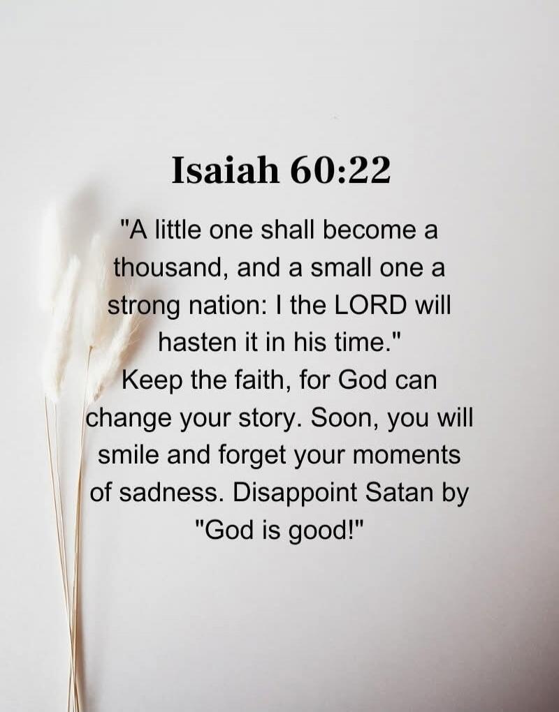 Isaiah 60:22 'A little one shall become a thousand, and a small one a strong nation: I the LORD will hasten it in his time.' Keep the faith, for God can change your story. Soon, you will smile and forget your moments of sadness. Disappoint Satan by 'God is good!'