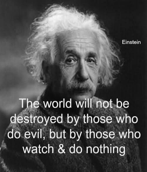 Einstein. The world will not be destroyed by those who do evil, but by those who watch & do nothing.