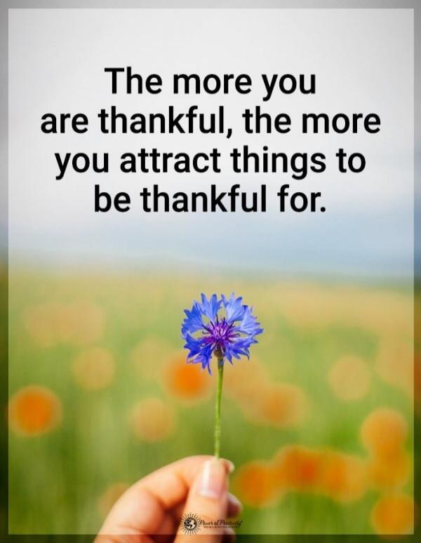 The more you are thankful, the more you attract things to be thankful for.