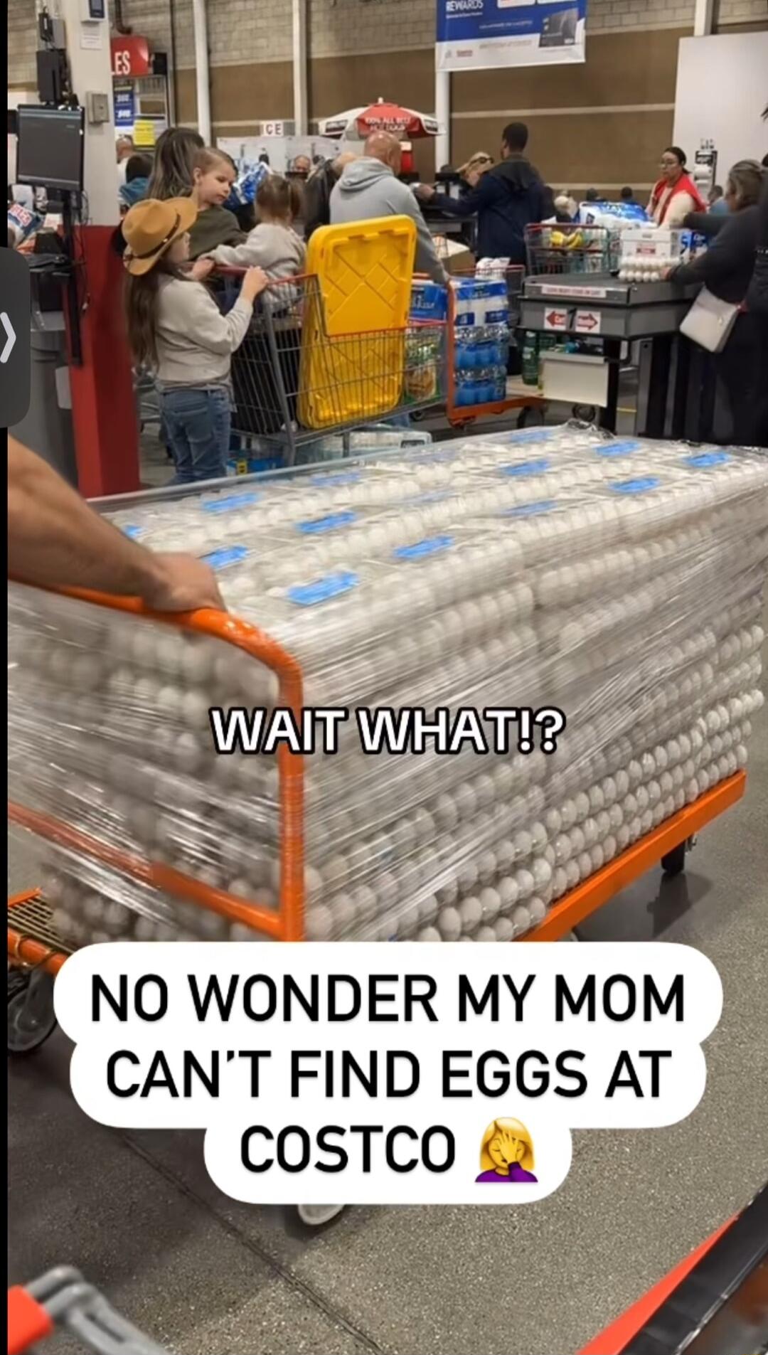 NO WONDER MY MOM J CANT FIND EGGS AT COSTCO L