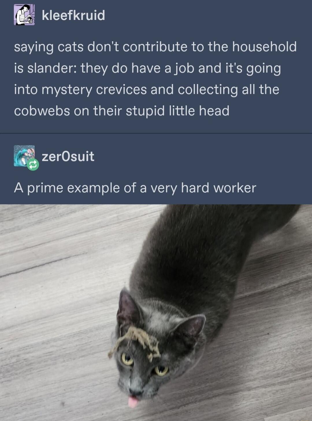 Keefkruid EEVlaTe N R olgRelelgiigl oIV RN RS TelVEL ol o EEEN e CIR R P EVEIENTel R Talo RiscKeollyle into mystery crevices and collecting all the cobwebs on their stupid little head a zerOsuit A prime example of a very hard worker