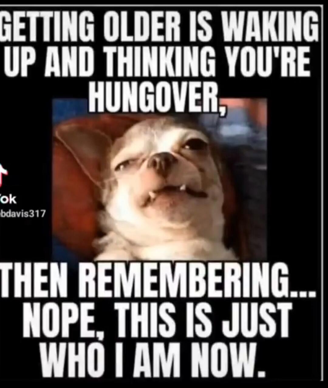 GETTING OLDER IS WAKING UP AND THINKING YOU'RE HUNGOVER, THEN REMEMBERING... NOPE, THIS IS JUST WHO I AM NOW.