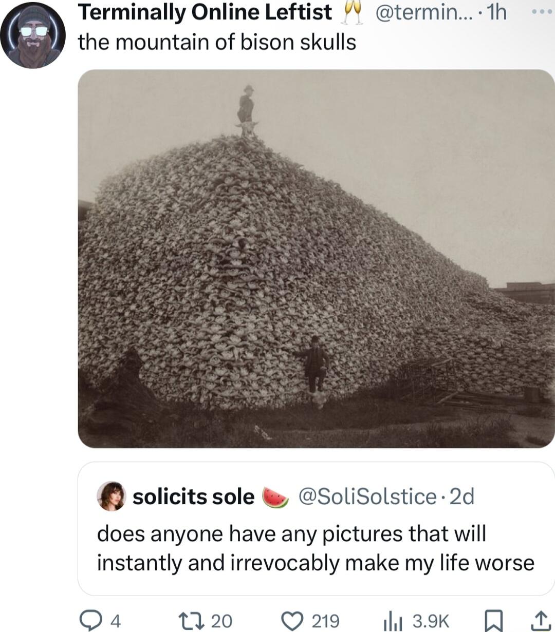 Terminally Online Leftist termin 1h the mountain of bison skulls solicits sole SoliSolstice 2d does anyone have any pictures that will instantly and irrevocably make my life worse Qa4 1120 219 3k QA A