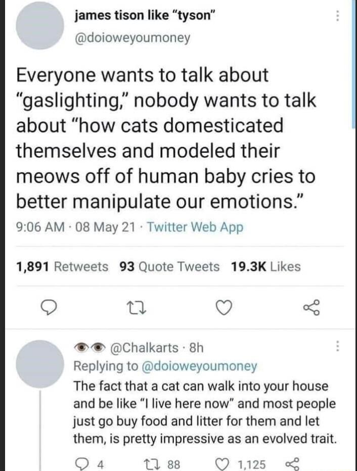 james tison like tyson doioweyoumoney Everyone wants to talk about gaslighting nobody wants to talk about how cats domesticated themselves and modeled their meows off of human baby cries to better manipulate our emotions 906 AM 08 May 21 Twitter Web App 1891 Retweets 93 Quote Tweets 193K Likes o Q Chalkarts 8h Replying to doioweyoumoney The fact that a cat can walk into your house and be like live