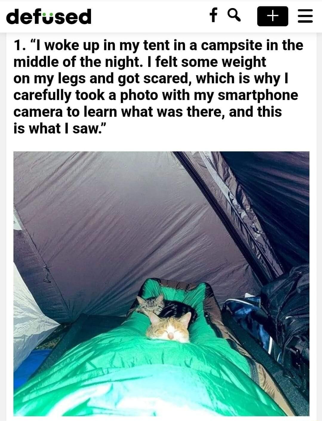 defused fQ 1 I woke up in my tent in a campsite in the middle of the night felt some weight on my legs and got scared which is why carefully took a photo with my smartphone camera to learn what was there and this is what saw