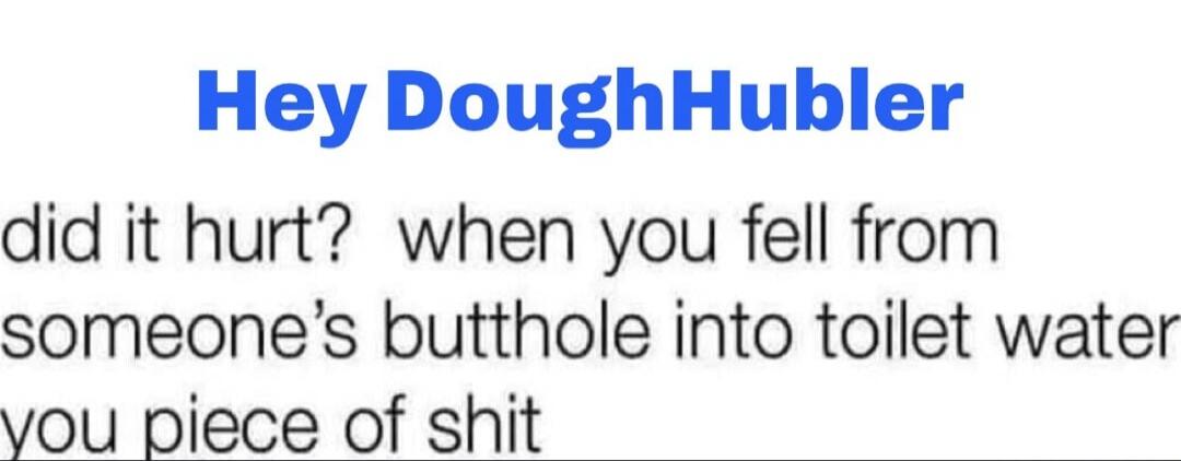 Hey DoughHubler did it hurt? when you fell from someone's butthole into toilet water you piece of shit