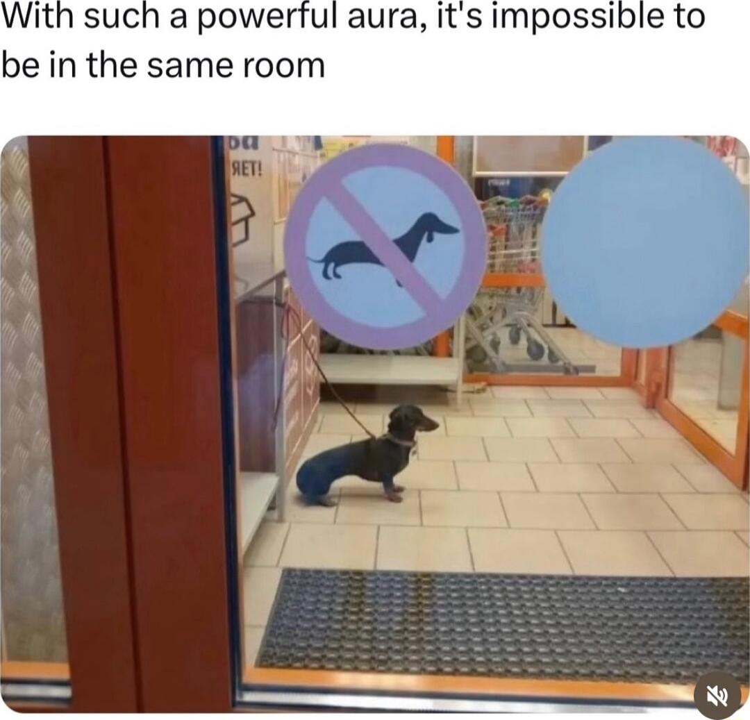 With such a powerful aura Its Impossible to be in the same room