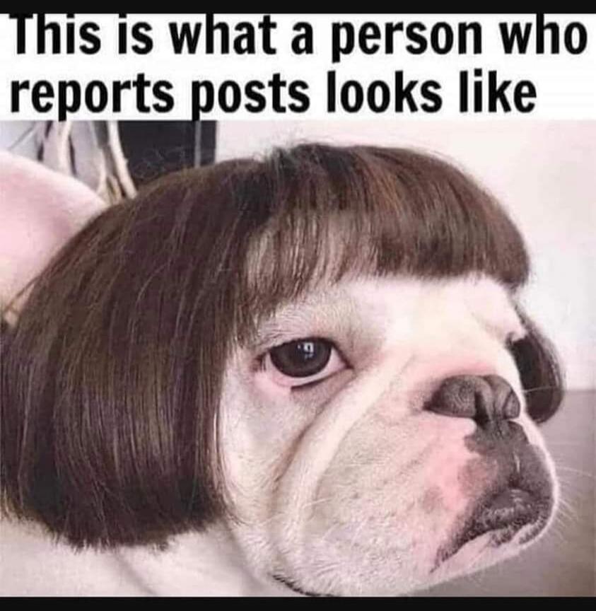 This is what a person who reports posts looks like