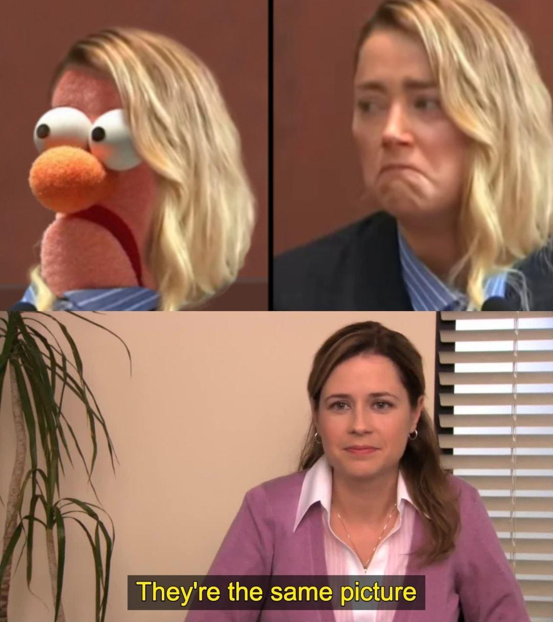 y Theyr the same picture