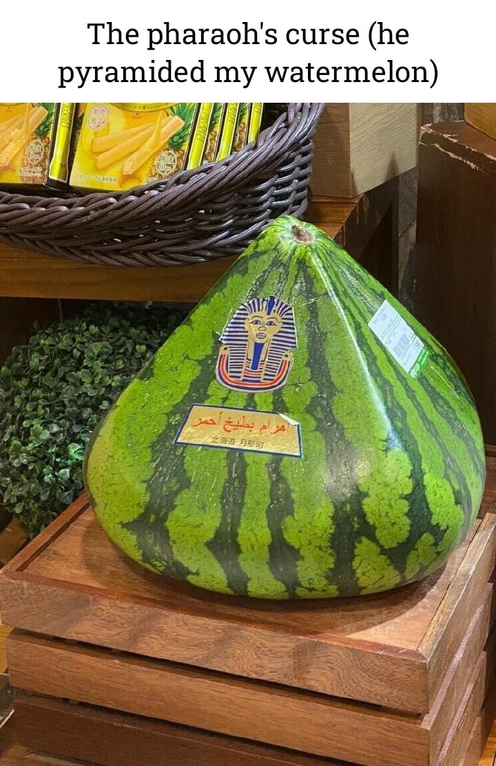 The pharaohs curse he pyramided my watermelon