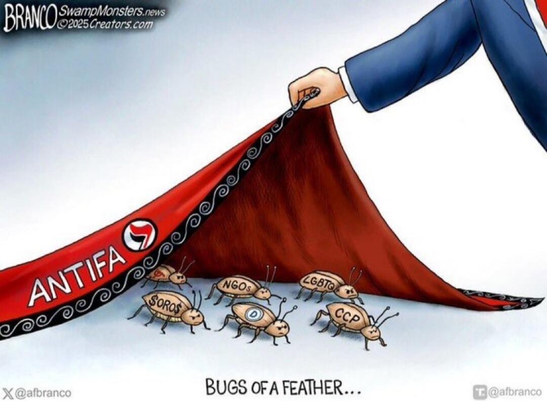 ANTIFA
BUGS OF A FEATHER...