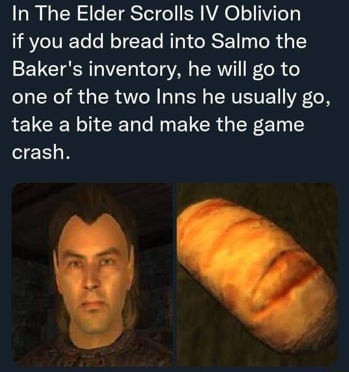 In The Elder Scrolls IV Oblivion if you add bread into Salmo the Bakers inventory he will go to one of the two Inns he usually go take a bite and make the game crash