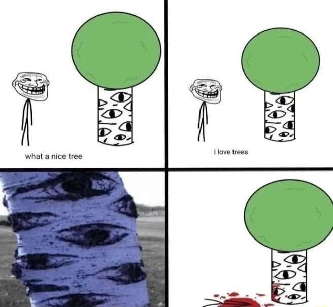 X S what a nice tree Hove tees