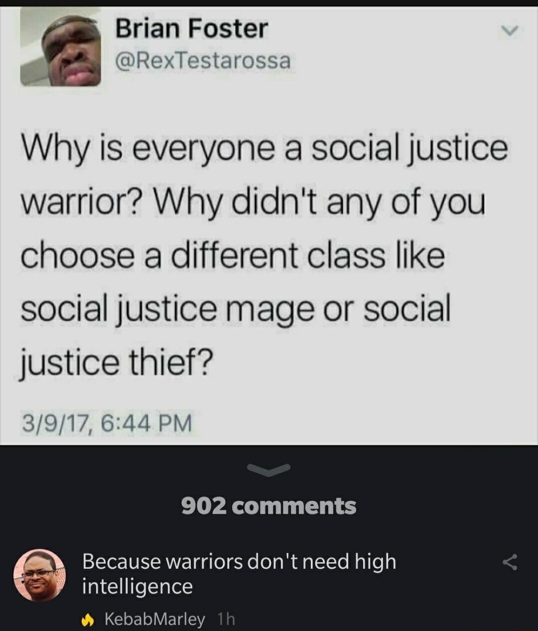 Brian Foster RexTestarossa Why is everyone a social justice warrior Why didnt any of you choose a different class like social justice mage or social justice thief 3917 644 PM 902 comments Because warriors dont need high 7 intelligence