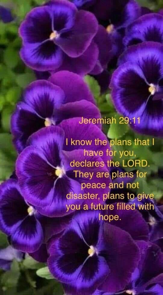 Jeremiah 29:11 I know the plans that I have for you, declares the LORD. They are plans for peace and not disaster, plans to give you a future filled with hope.