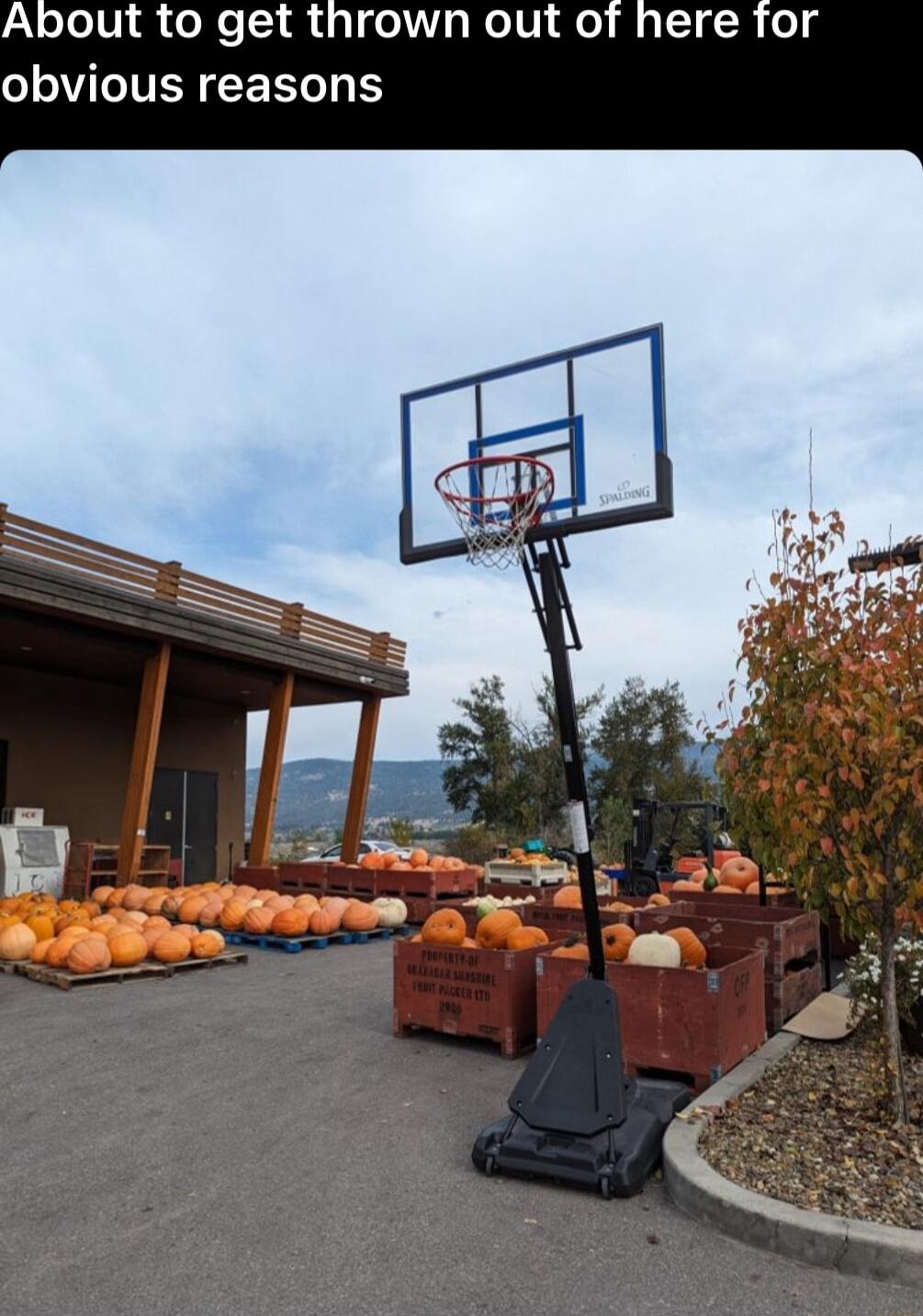 About to get thrown out of here for VTIVEREE R