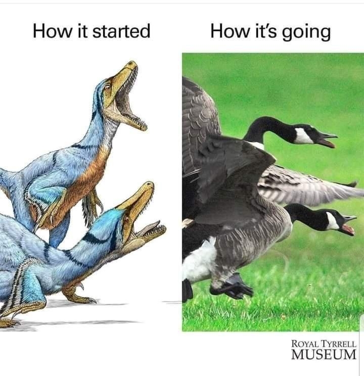 5 royaltyrrell S Royal Tyrrell Museum of Palaeontology How it started How its going i ROVAL TYRRELL MUSEUM