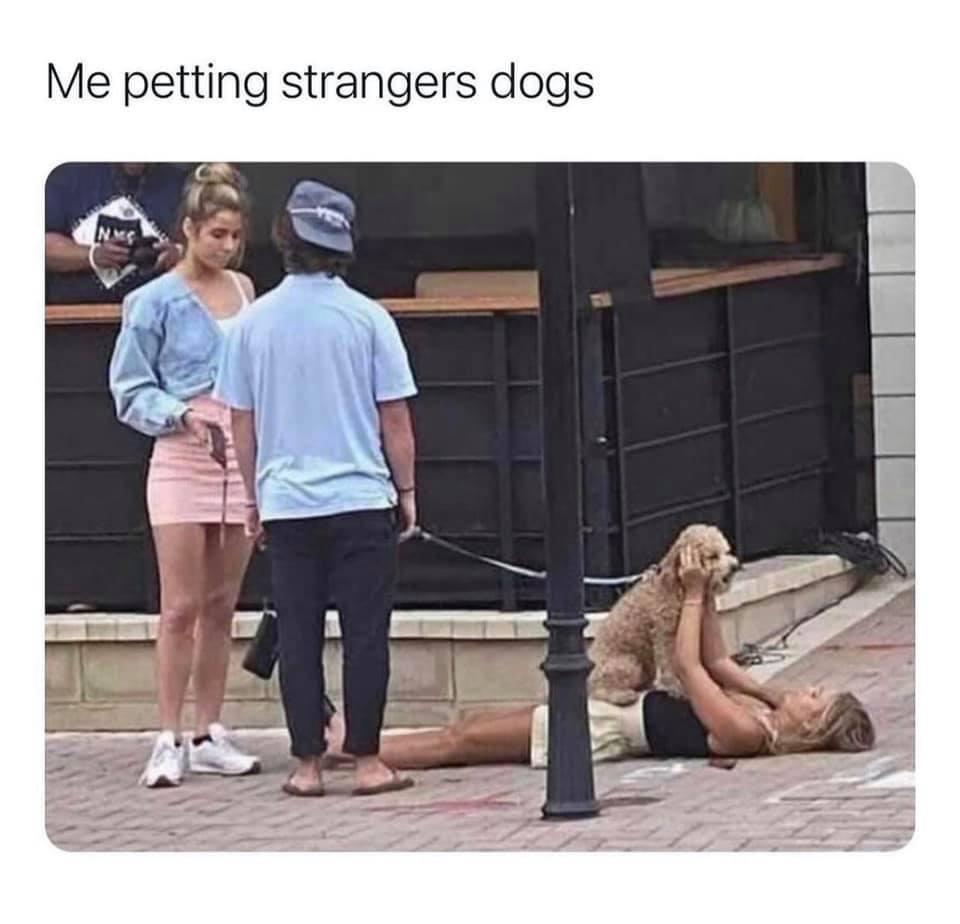 Me petting strangers dogs