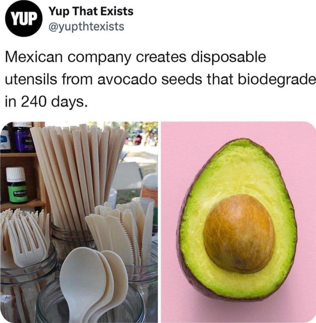Yup That Exists yupthtexists Mexican company creates disposable utensils from avocado seeds that biodegrade in 240 days