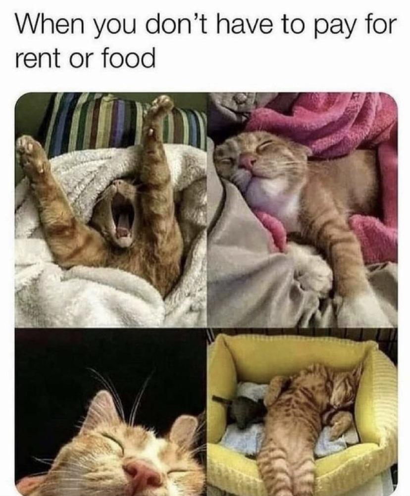 When you dont have to pay for rent or food