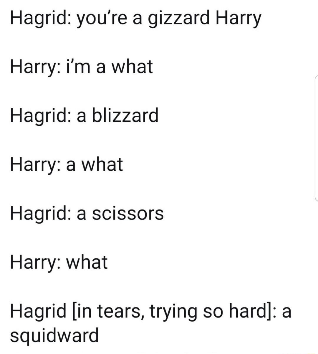 Hagrid youre a gizzard Harry Harry im a what Hagrid a blizzard Harry a what Hagrid a scissors Harry what Hagrid in tears trying so hard a squidward