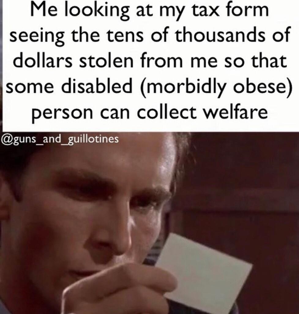 Me looking at my tax form seeing the tens of thousands of dollars stolen from me so that some disabled morbidly obese person can collect welfare guns_and_guillotines