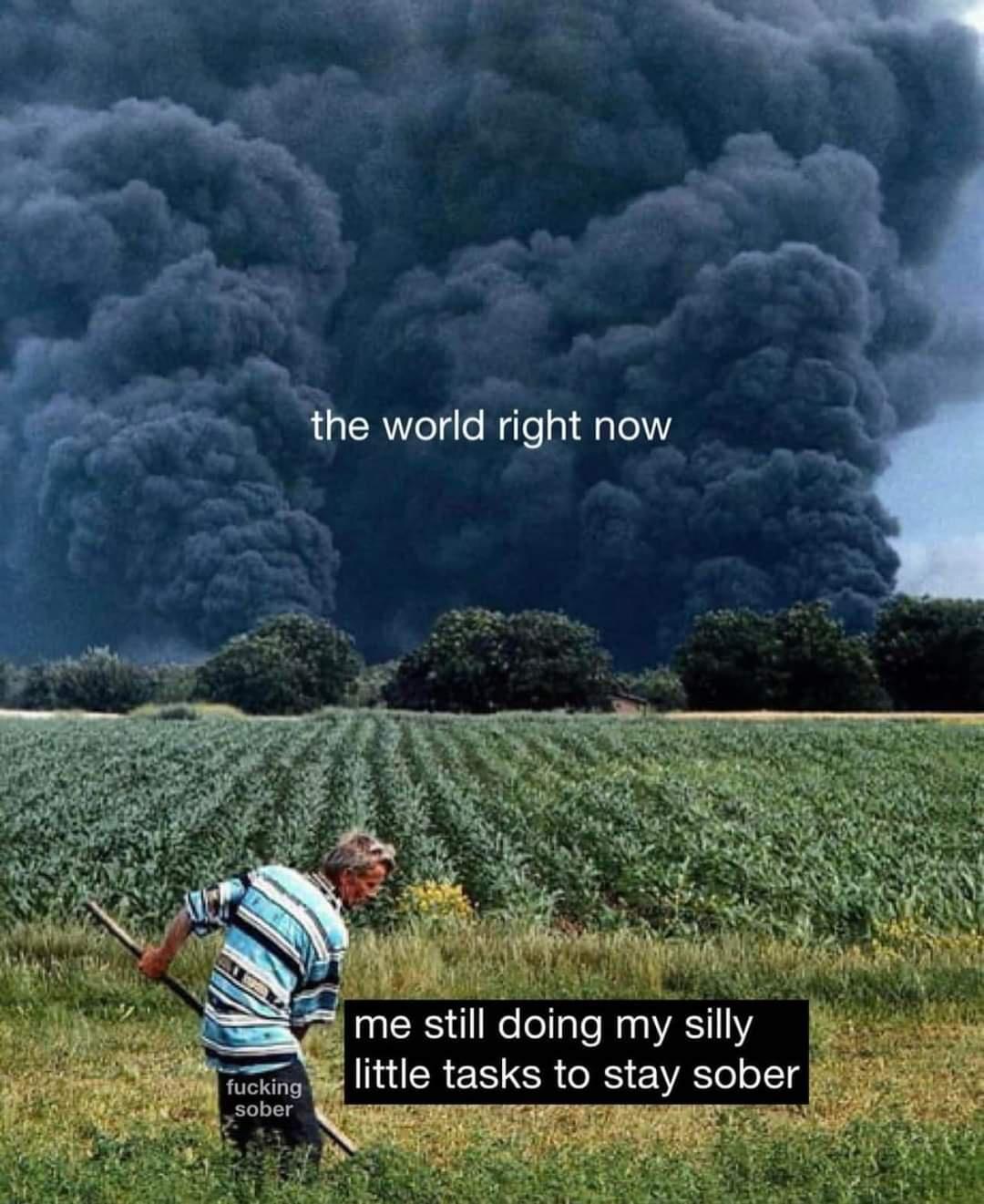 me still doing my silly ttle tasks to stay sober