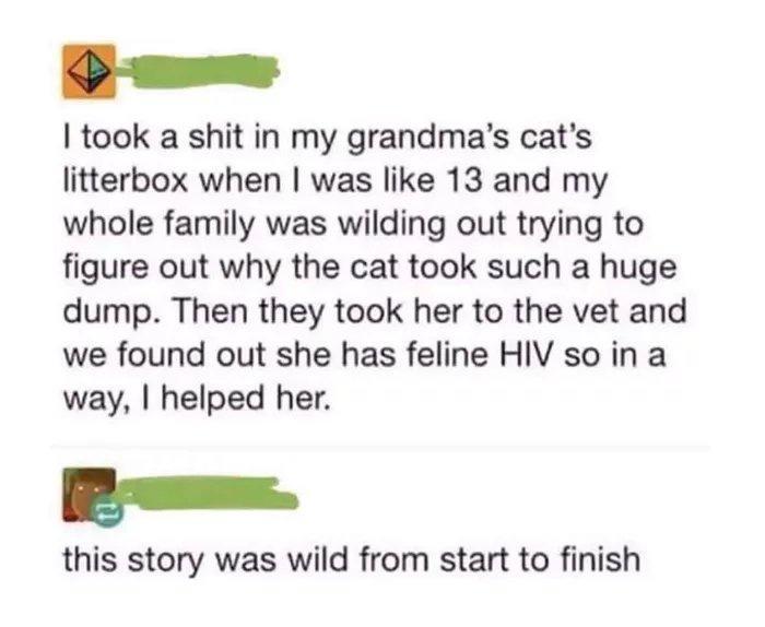 v took a shit in my grandmas cats litterbox when was like 13 and my whole family was wilding out trying to figure out why the cat took such a huge dump Then they took her to the vet and we found out she has feline HIV so in a way helped her B this story was wild from start to finish