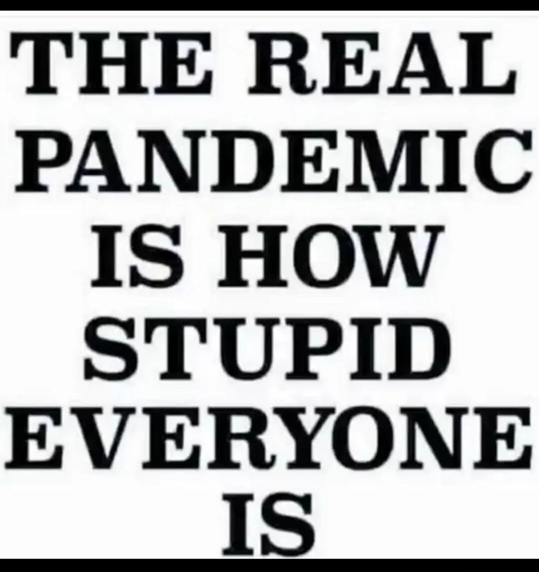 THE REAL PANDEMIC IS HOW STUPID EVERYONE IS