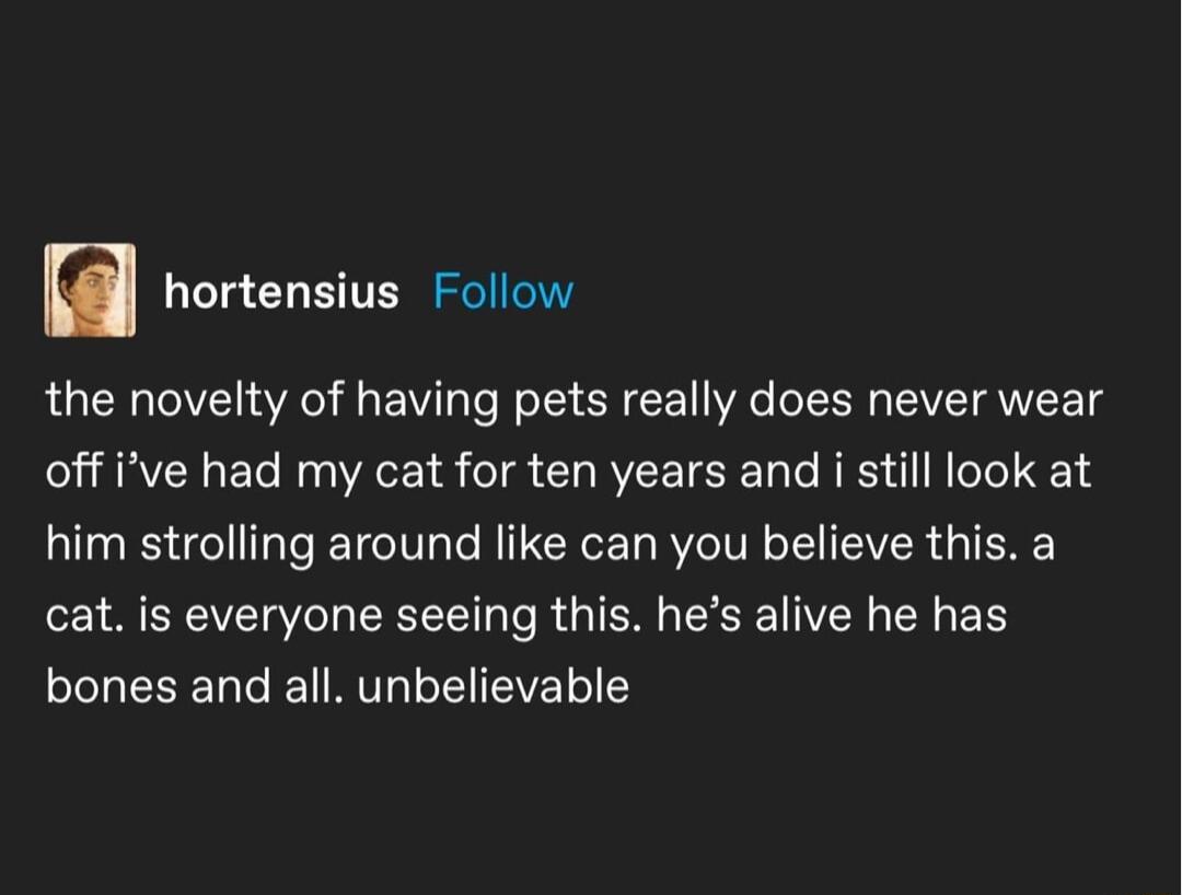 hortensius Follow the novelty of having pets really does never wear T RVENAEYe N VAR Y S T CIORVEETERETaTe RIS I TeT 414 him strolling around like can you believe this a cat is everyone seeing this hes alive he has LLERER G NV EVEIES