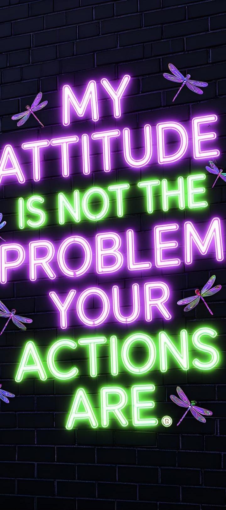 MY ATTITUDE IS NOT THE PROBLEM YOUR ACTIONS ARE.